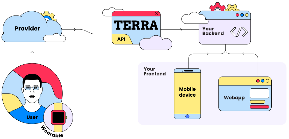 A user's wearable syncs to its provider, Terra fetches and normalises the data, and sends it to your backend, which serves your mobile and web frontends